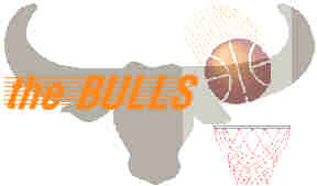 bullslogo.jpg (4310 bytes)