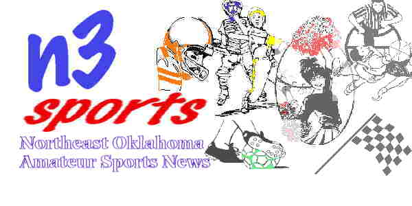 n3sportlogo.jpg (19849 bytes)