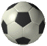 soc_anm.gif (14024 bytes)